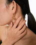 S925 Sterling Silver Fashion Pearl Earrings